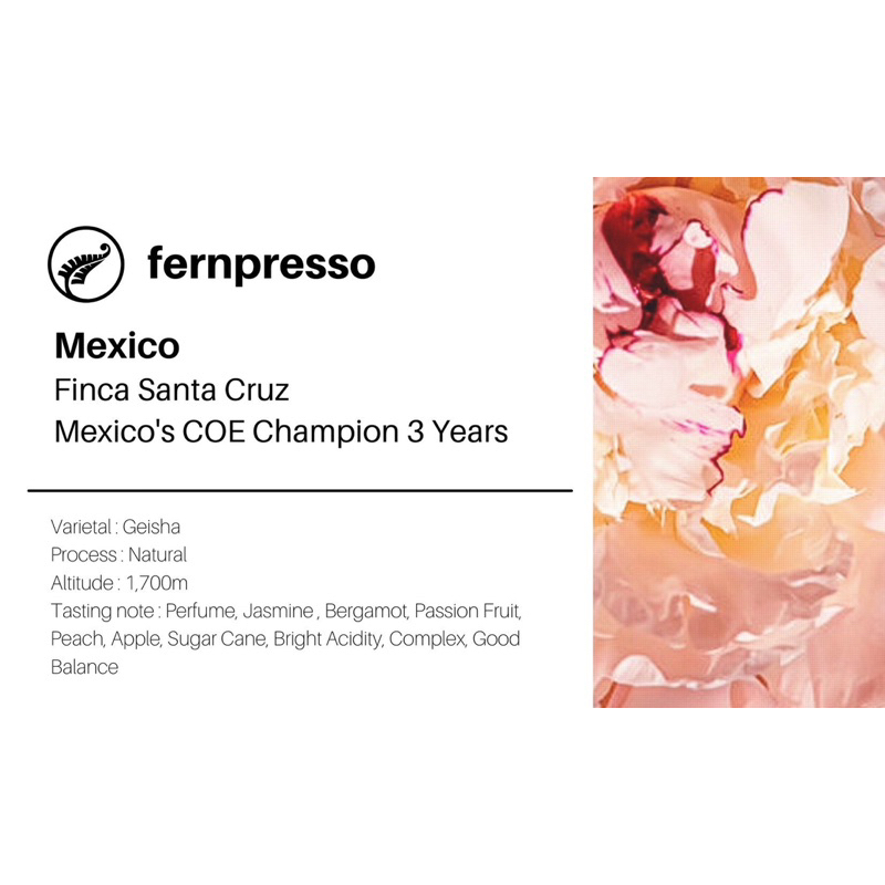 mexico-finca-santa-cruz-mexico-s-coe-champion-3years16g