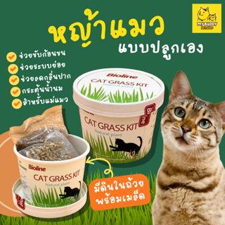 Bioline Cat Grass Kit ชุดปลูกต้นอ่อนข้าวสาลี ชุดกระปุกหญ้าแมวพร้อมปลูก