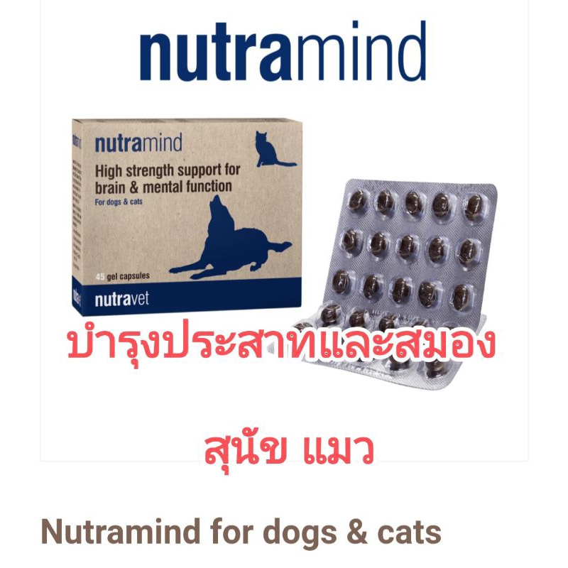 แบ่งขาย-1แผง15-เม็ด-nutramide-nutravet-อาหารเสริมบำรุงสมองสุนัข-บำรุงประสาทสุนัข-อาหารเสริมบำรุงสมองแมว-บำรุงประสาทแมว