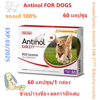 Antinol ช่วยบำรุงข้อ กระดูก ขน ผิวหนัง และไต(1 กล่อง 60 caps) สำหรับสัตว์เลี้ยง EXP.03/2025