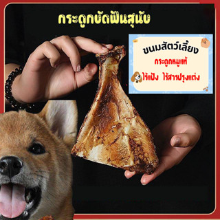 กระดูกใบพัดหมูอบแห้ง ขนมขัดฟันสุนัข แท่งใหญ่ สดใหม่จากธรรมชาติไร้สารปรุงเเต่ง แพ็ค2ชิ้น