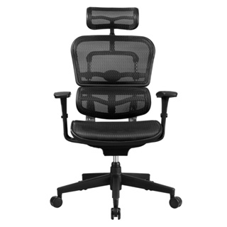 DF Prochair | เก้าอี้เพื่อสุขภาพ รุ่น Ergo Office Chair