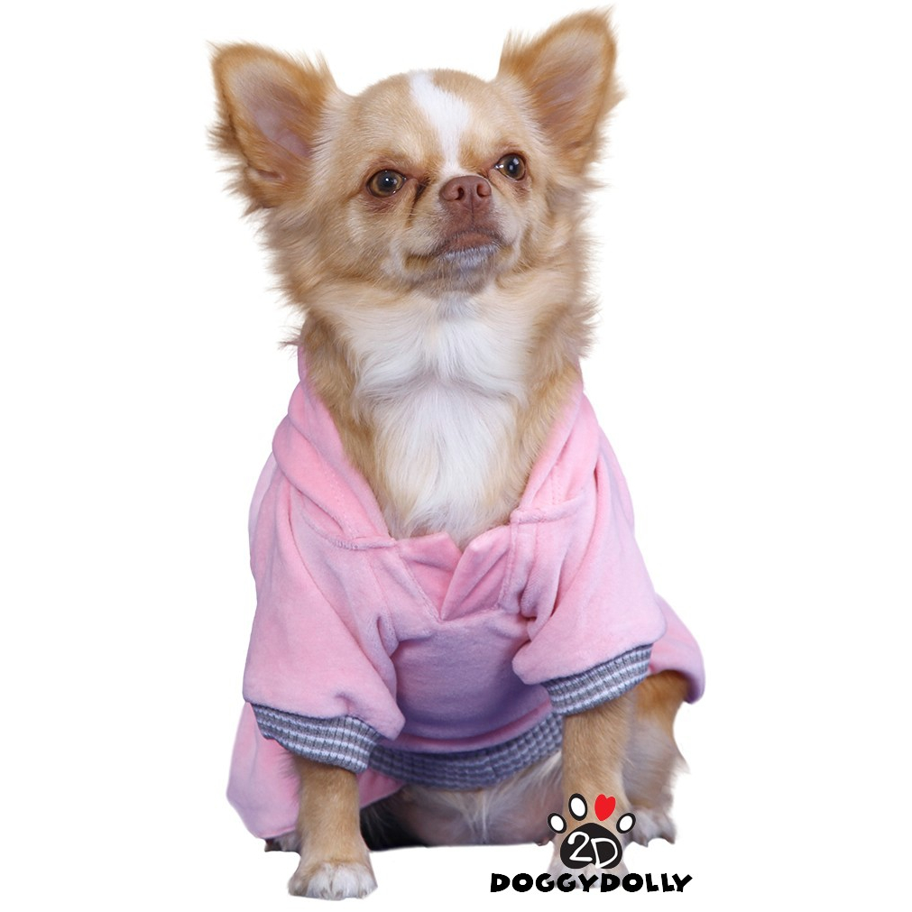 pet-clothes-doggydolly-แฟชั่นสัตว์เลี้ยง-ชุดหมาแมว-กระโปรง-กันหนาว-สีม่วง-winter-ขนาดไซส์-1-9โล-d182