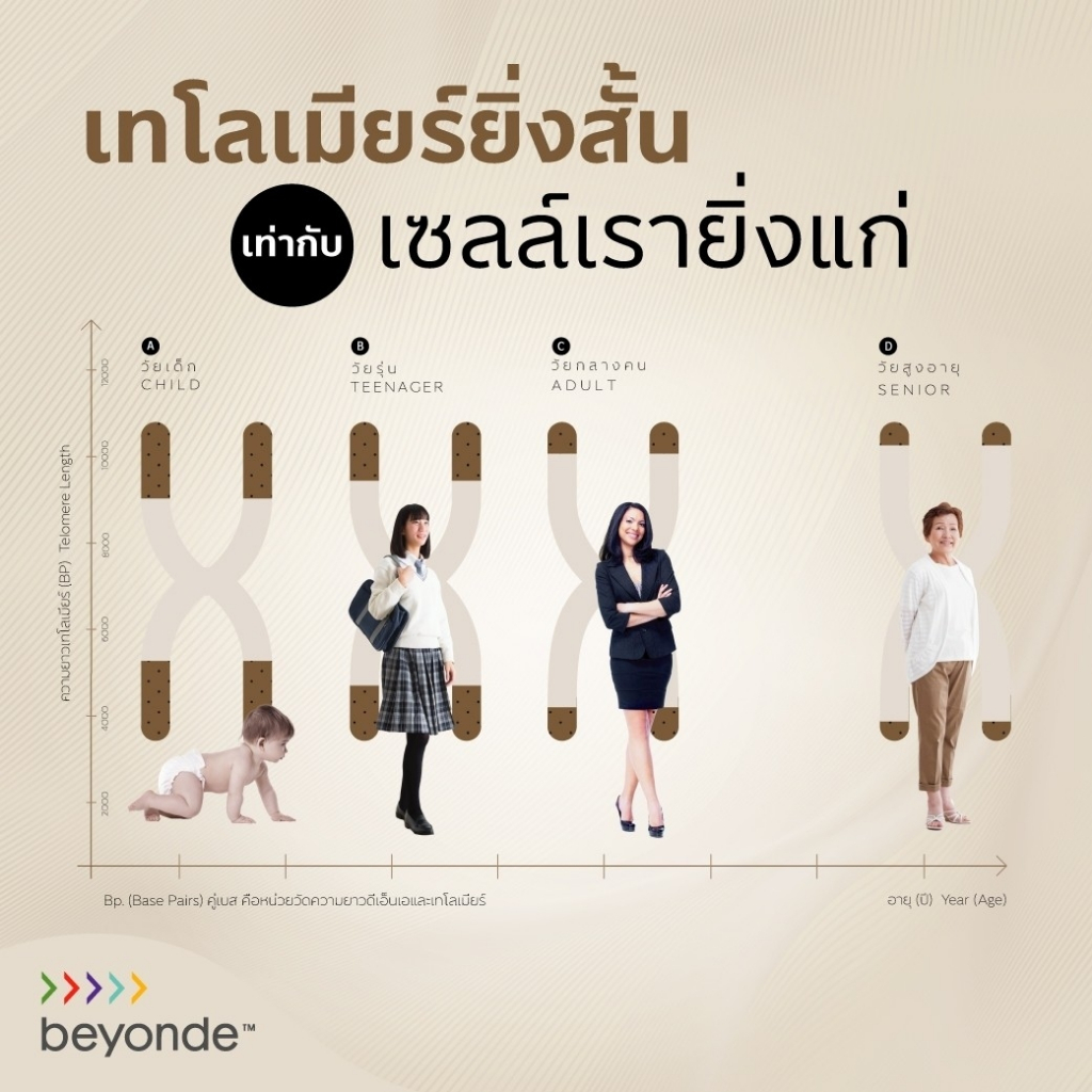 ของใหม่-ของแท้-บียอนด์-ร็อกซ์เบอร์กี้-พลัส-1-ขวด-750-มล-beyond-rox-burghii-plus-สินค้า-ยูไลฟ์-ulife