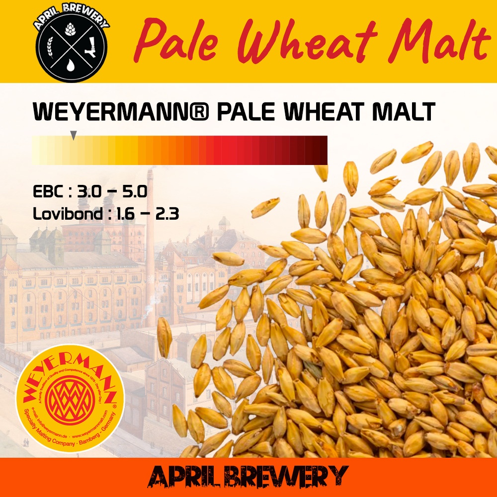 มอลต์ ทำเบียร์ WEYERMANN Pale Ale Malt / Wheat Malt / Pilsner Malt