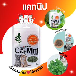 ⭐สินค้าพร้อมส่ง⭐ กัญชาแมว แคทนิป Catnip แคทมิ้น Catmint แบบผง 5g •Cat House•