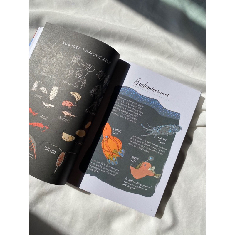 ocean-anatomy-หนังสือภาษาอังกฤษมือ1