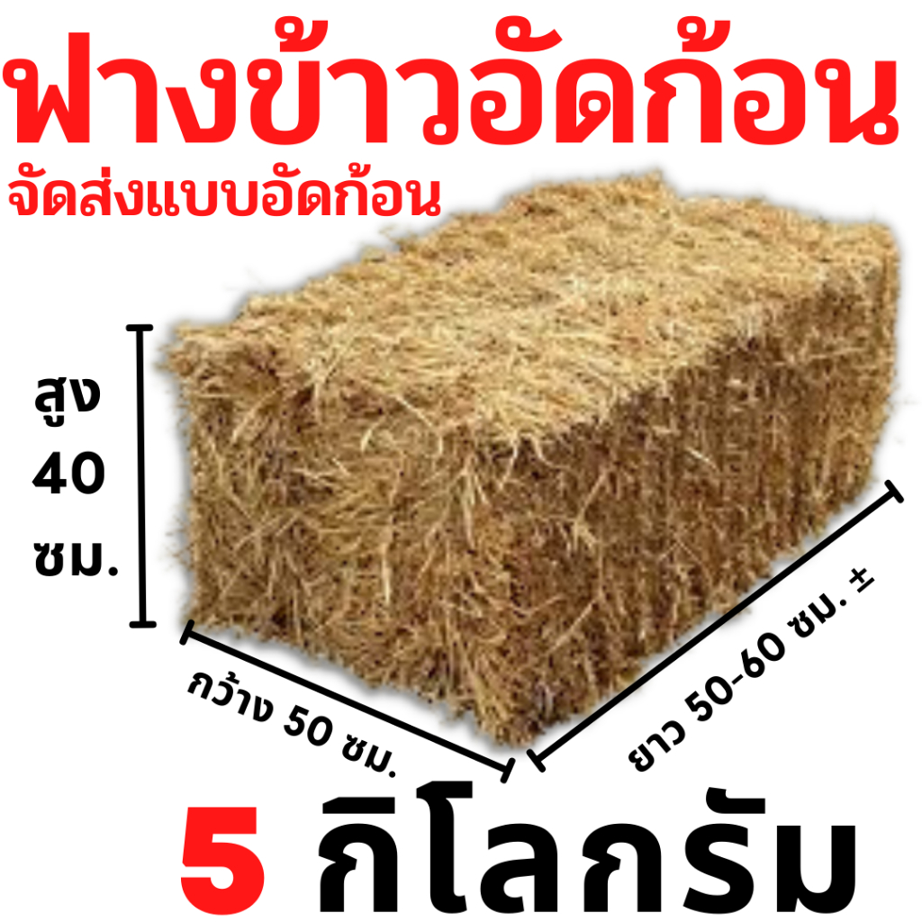 ฟาง-ฟางข้าว-ฟางข้าวอัดก้อน-5-กิโลกรัม-45-บาท-ส่งจากนครปฐม-ราคาหน้าสวน-สวนมาเอง-ไม่ชื้น-ไม่เก่า-ไม่ราขึ้น