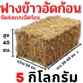 ฟาง ฟางข้าว ฟางข้าวอัดก้อน 5 กิโลกรัม 45 บาท ส่งจากนครปฐม ราคาหน้าสวน สวนมาเอง ไม่ชื้น ไม่เก่า ไม่ราขึ้น