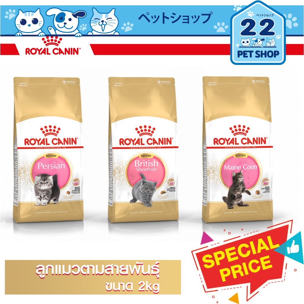 royal-canin-kitten-อาหารลูกแมวตามสายพันธุ์-persian-kitten-british-shorthair-kitten-maine-coon-kitten-ขนาด-2kg