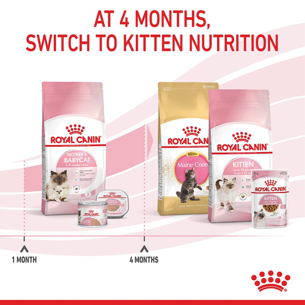 royal-canin-starter-mother-amp-baby-cat-2kg-อาหารแม่แมวตั้งท้อง-ให้นม-และ-ลูกแมวอายุต่ำกว่า-4-เดือน