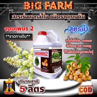 สารเร่งดอกลำไย ชนิดราดทางดิน จอบเพชร 2 ขนาด 5 ลิตร สารราดทางดิน (สีน้ำตาล)