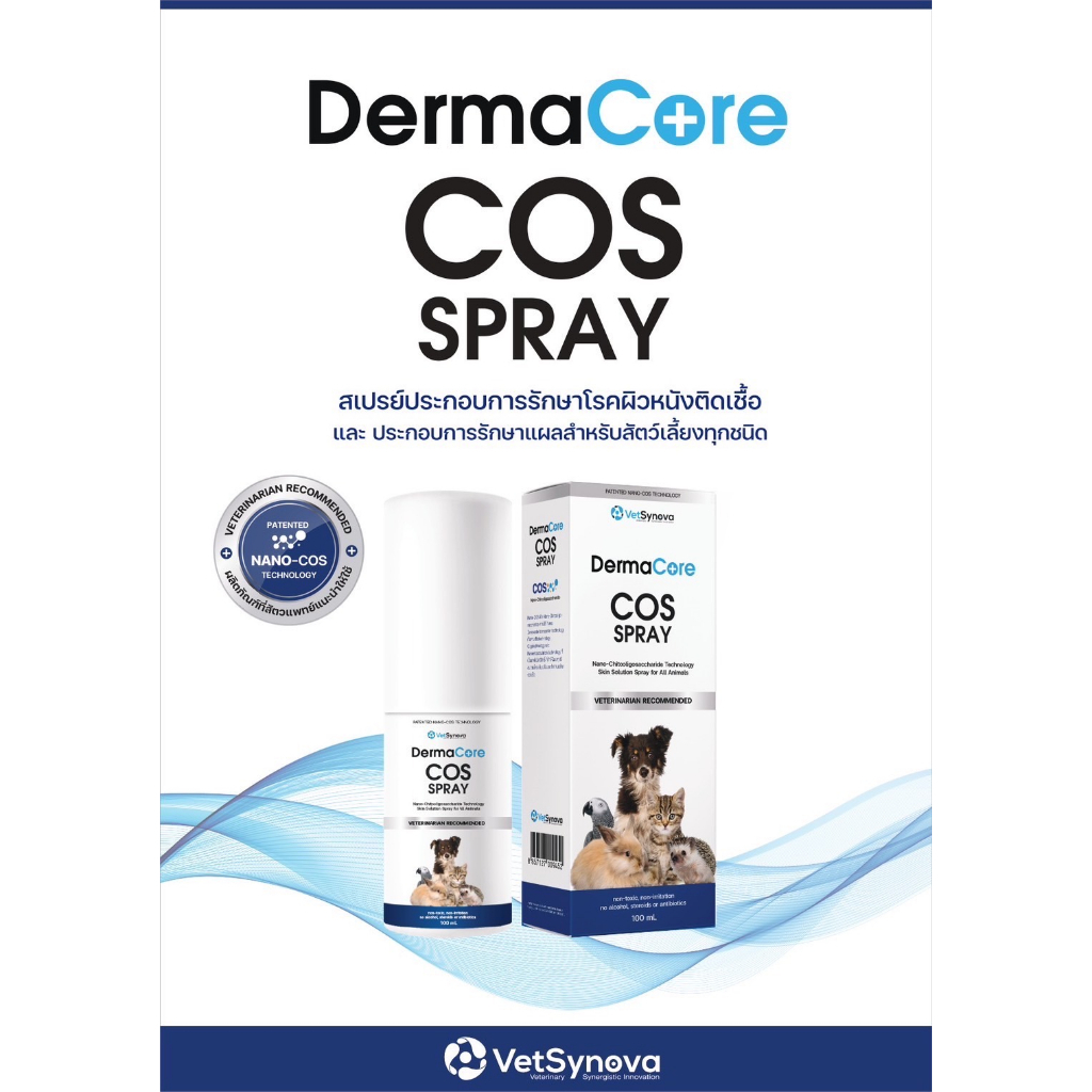 DermaCore COS Spray 20 100 ml Shampoo 250 ml🔥 Exp.2028 สเปรย์พ่นเชื้อรา ...