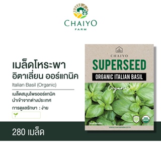 เมล็ด ITALIAN BASIL (Organic)  โหระพาอิตาเลี่ยน ออร์แกนิค