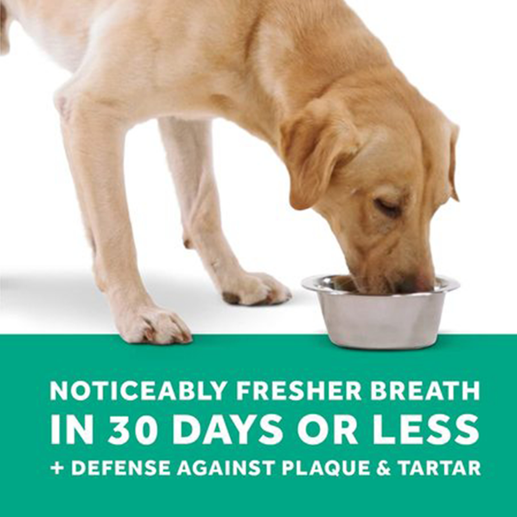 fresh-breath-oral-care-water-additive-ขจัดคราบสกปรก-ช่วยลดกลิ่นปาก-ป้องกันฟันผุและช่วยลดคราบหินปูน-473-ml