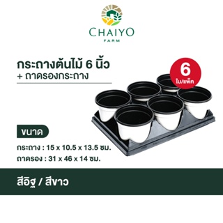 กระถางต้นไม้ (6ใบ)+ถาดรองกระถาง 6 นิ้ว (Pot 150 mm(6 pcs) + Pot pallet)