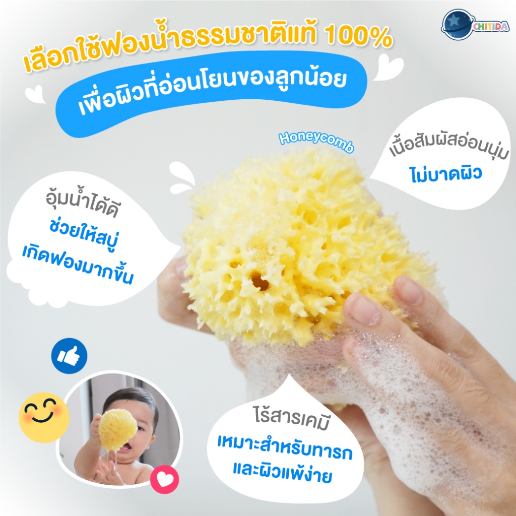 chitida-ฟองน้ำธรรมชาติแท้-100-ฟองน้ำอาบน้ำเด็ก-นุ่มมาก-ใช้ได้นาน-สายพันธุ์-honeycomb