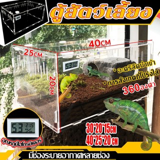 (Gửi trong Thái Lan) Hộp nuôi động vật bò sát, lồng acrylic nuôi vật, hộp acrylic trong suốt kèm máy đo nhiệt độ chính xác