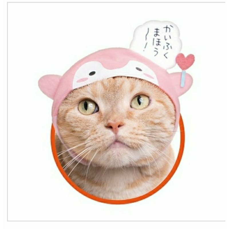 กาชาปอง หมวกแมว gachapon cat hat v.1 Shopee Thailand