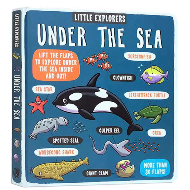 พร้อมส่ง Little explorers Usborne หนูน้อยนักสำรวจ พร้อมลูกเล่นแบบเปิด ...