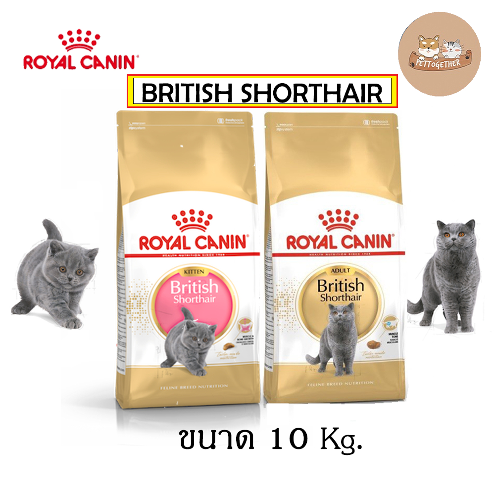 Royal Canin Adult British Shorthair 10Kg, pienso para gatos