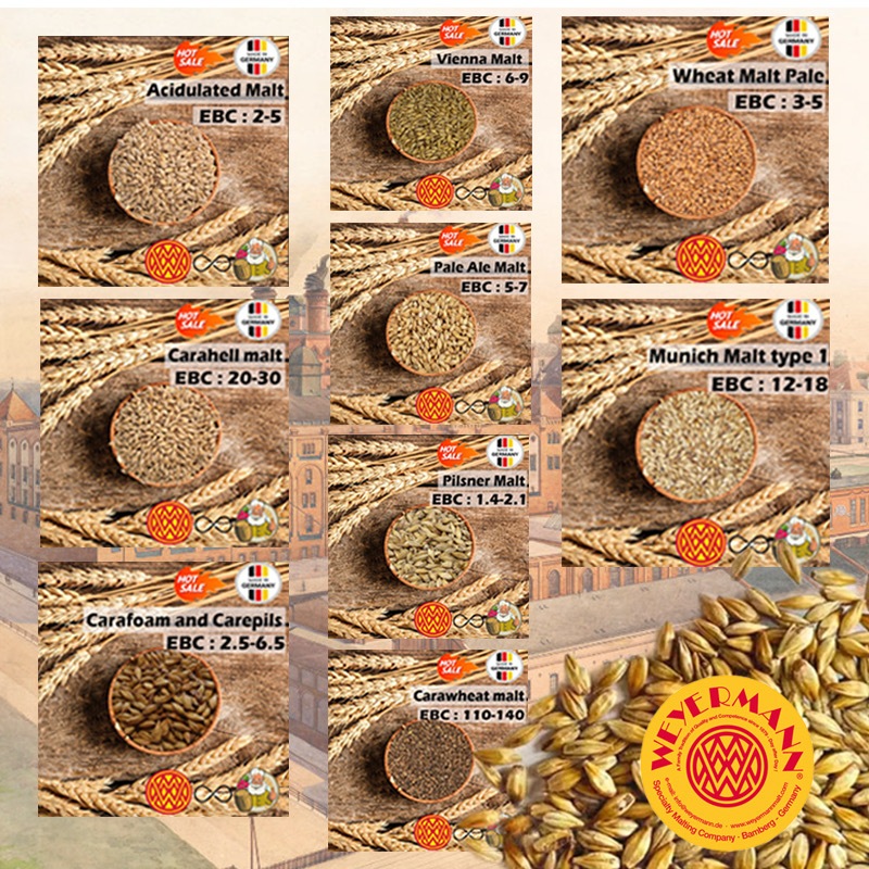 มอลต์ Pilsner, Wheat, Pale Ale, Vienna, MUNICH MALT TYPE 1, CARAPILS