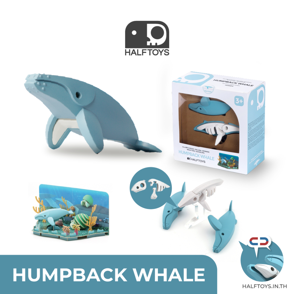 HALFTOYS (ฮาล์ฟทอยส์) Half Ocean : Humpback Whale (Diorama) ของเล่น ...