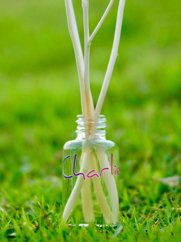 Enchanted Forest Reed Diffuser 25 ml | Shopee Thailand