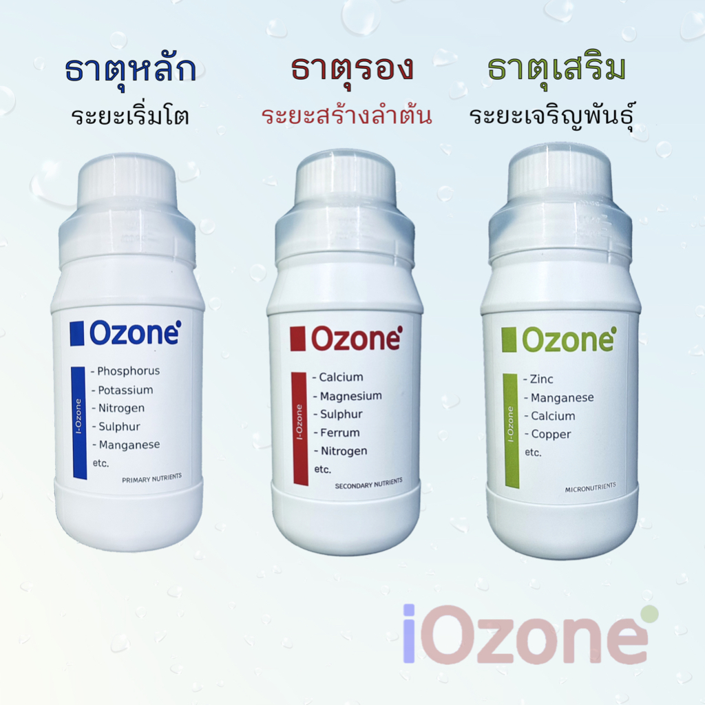ปุ๋ย iOzone ชนิดดูดซึมทันที เร่งราก เร่งใบ เร่งดอก เร่งผล ปุ๋ยจบดอก ครบ ...