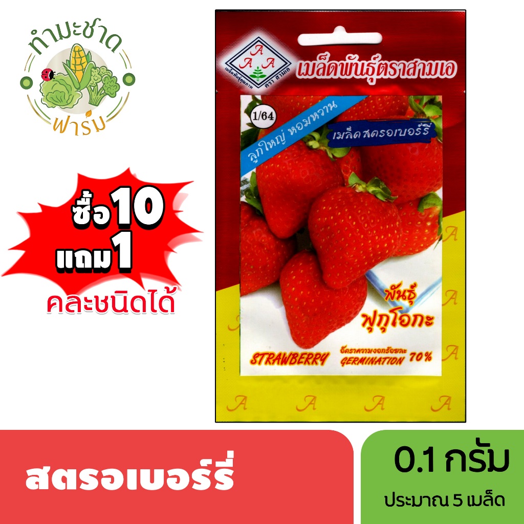 3A (ซื้อ10แถม1) เมล็ดพันธุ์ สตรอเบอร์รี่ ขนาด0.1กรัม ประมาณ5เมล็ด