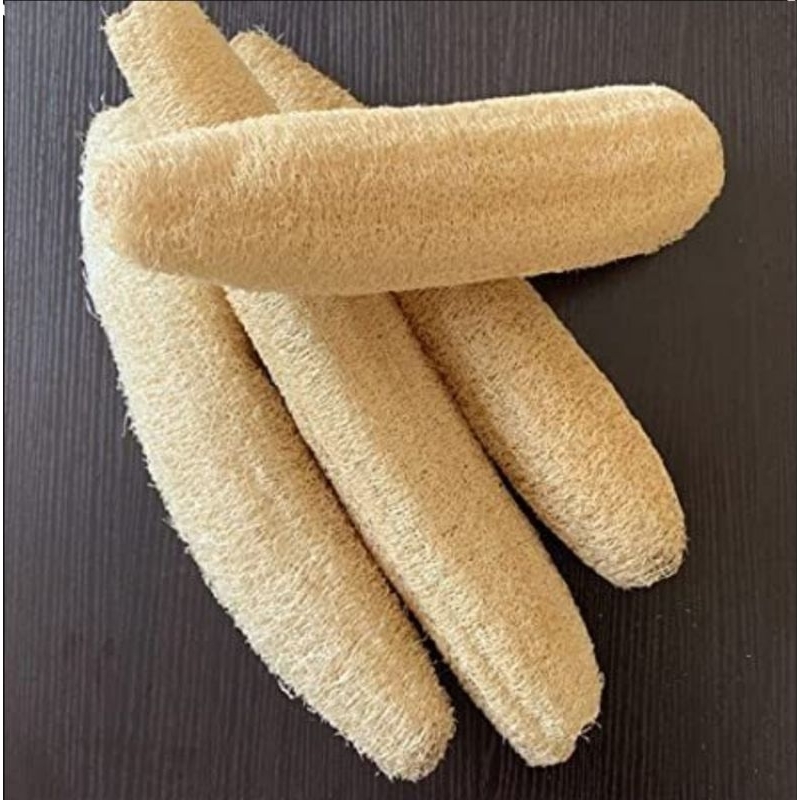 Luffa Spong organic 100%(25-30cm.) | Shopee Thailand