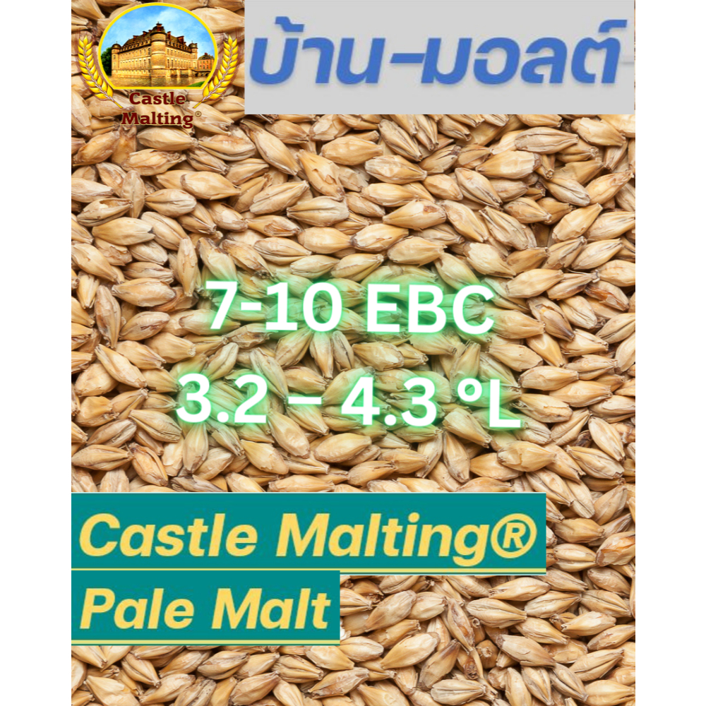 มอลต์ Pale Ale Malt Pilsner Malt Wheat Malt Maris Otter Golden