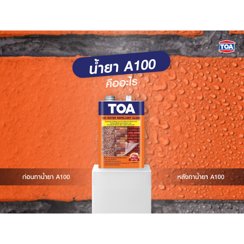 ทีโอเอ-100-น้ำยาเคลือบเงาใสกันซึม-toa-100-water-repellent-ป้องกันคราบเชื้อรา-ตะไคร่น้ำ-เงางามสูง-แห้งเร็ว