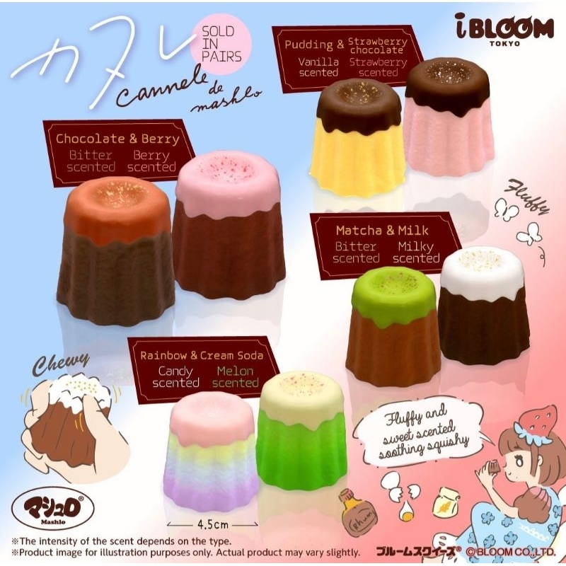 สกุชชี่-ibloom-cannele-de-mashlo-พร้อมกล่องแพคเกจน่ารัก