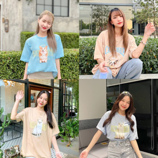 พร้อมส่ง เสื้อยืด ใส่สบาย ลายน่ารักๆ oversized ลายน้องหมา น้องแมว แพนเค้ก