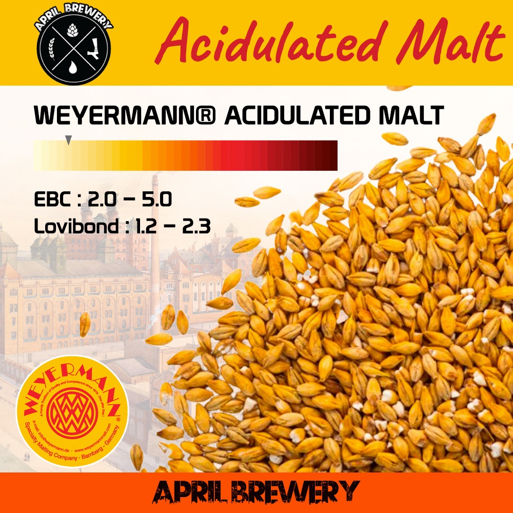 มอลต์ ทำเบียร์ WEYERMANN Pale Ale Malt / Wheat Malt / Pilsner Malt
