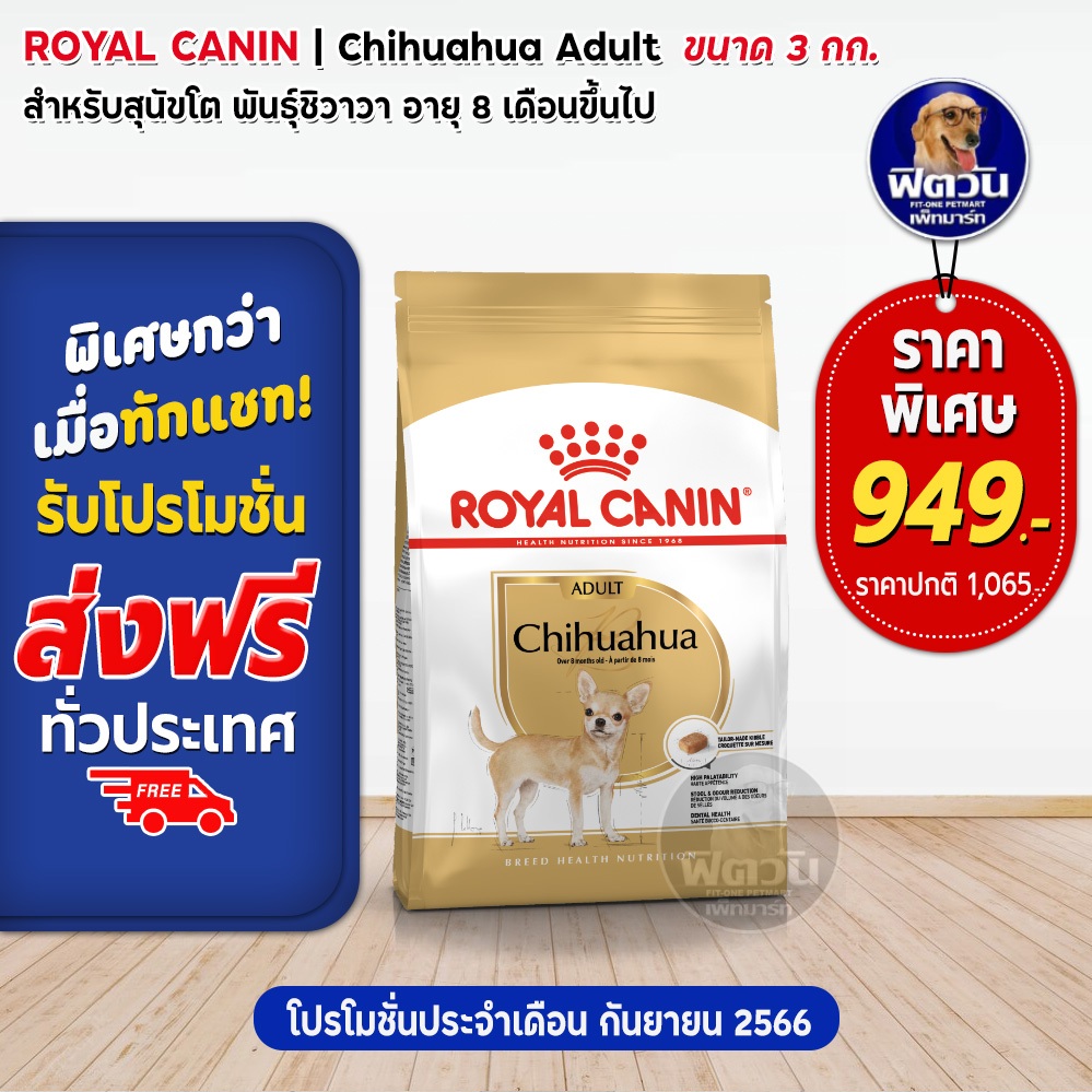 royal-canin-chihuahua-adult-สุนัขอายุ8เดือนขึ้นไป-พันธุ์ชิวาวา-3-กิโลกรัม