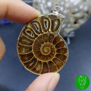 จี้ฟอสซิลแอมโมไนต์ Ammonite Fossil Pendant