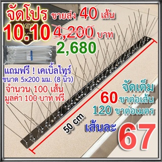 จัดโปร 10.10 CASHBACK หนามกันนก เข็มสเตนเลส ฐานสเตนเลส เกรดพรีเมี่ยม 40 เส้น (จัดเต็มเข็มสแตนเลส 60 กิ่งต่อเส้น)