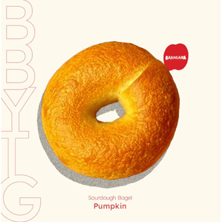 Sourdough Pumpkin Bagel (ขนมปังเบเกิลฟักทอง) มีราคาขายส่งสำหรับร้านค้า