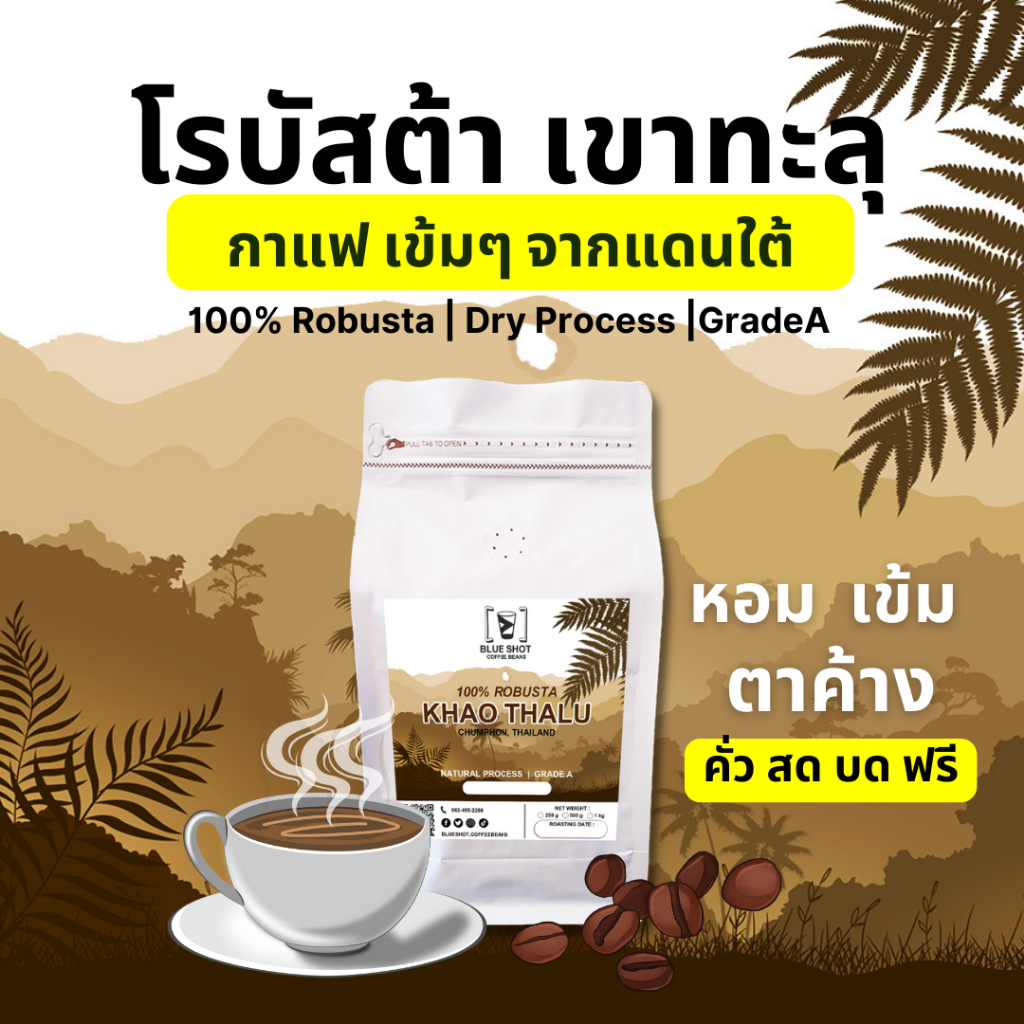 กาแฟคั่ว-โรบัสต้า-เขาทะลุ-ชุมพร-เกรดพรีเมี่ยม-คั่ว-สด-บด-ฟรี