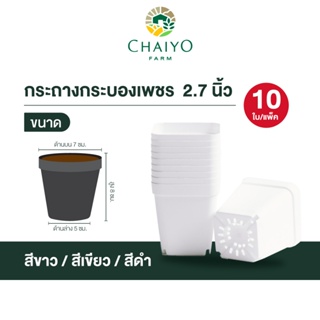 กระถางกระบองเพชร 10 กระถาง (Succulent pot) 10 pcs ขนาด 2.7 นิ้ว