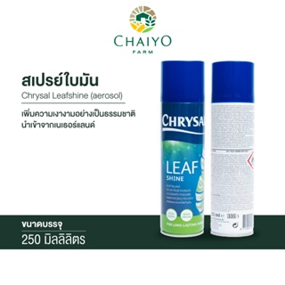 สเปรย์ใบมัน นำเข้าจากเนเธอร์แลนด์ Chrysal Leafshine (aerosol) 250ml