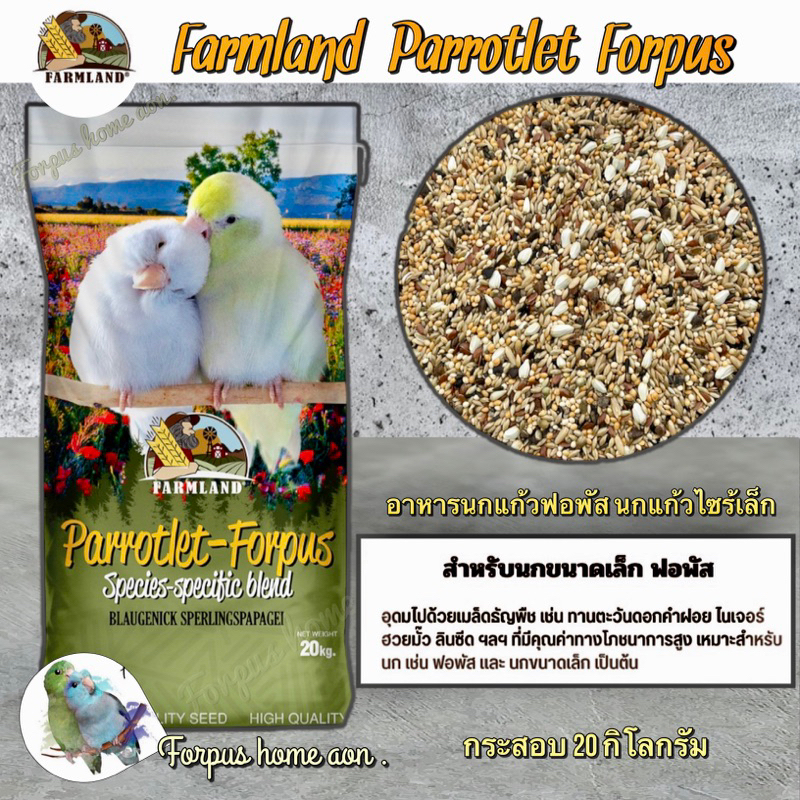 th-11134207-7r98z-loft2cb4ebok69