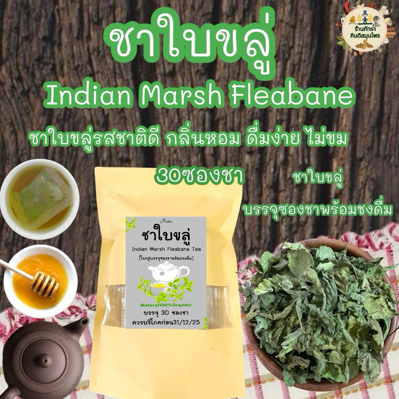 ชาใบขลู่ บรรจุ 30 ซอง Indian marsh fleabane Tea | Shopee Thailand