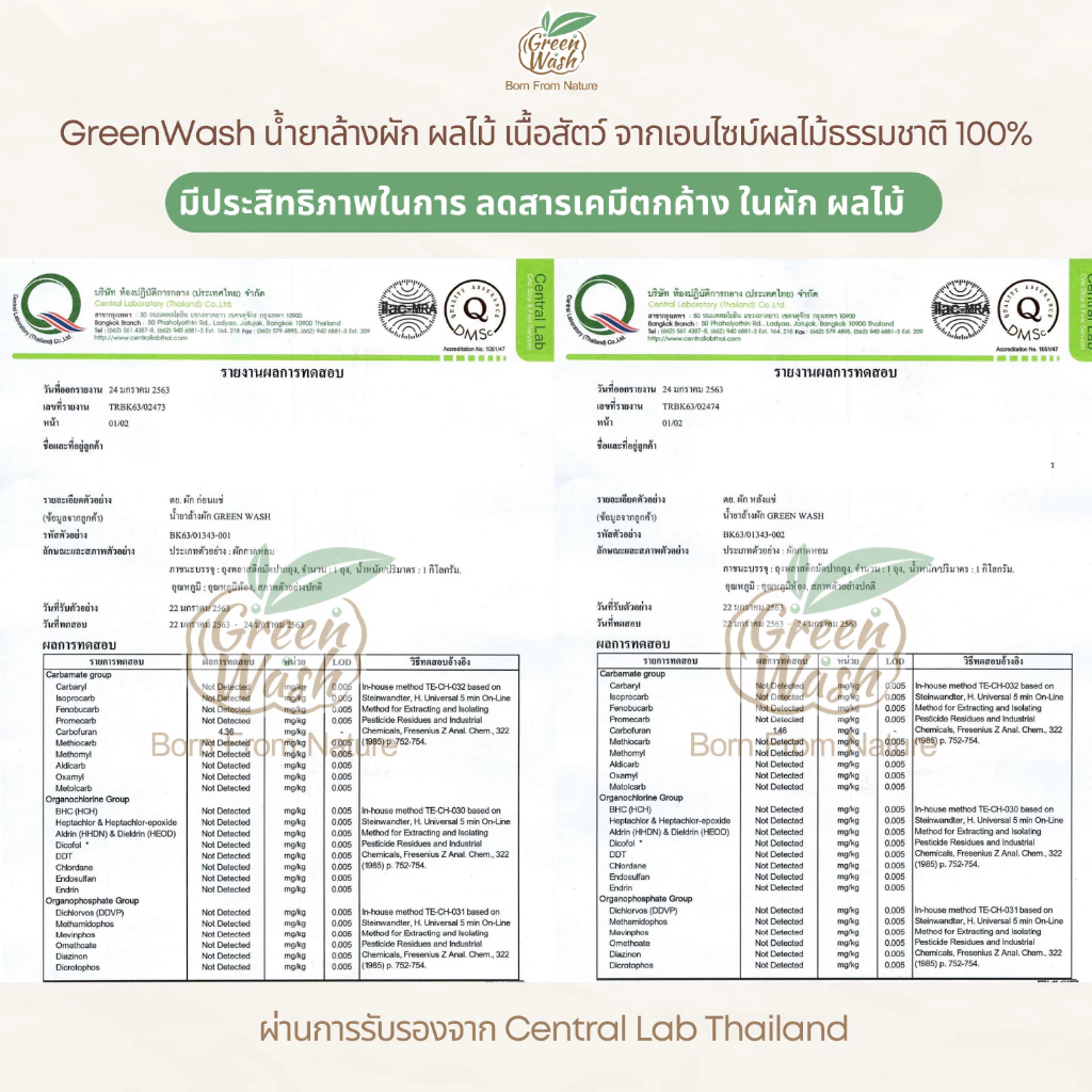 GreenWash Fruit and Vegetable Wash น้ำยาล้างผักผลไม้และเนื้อสัตว์ จากเอนไซม์ผลไม้ ขนาด 400 มล. https://wayoza.com