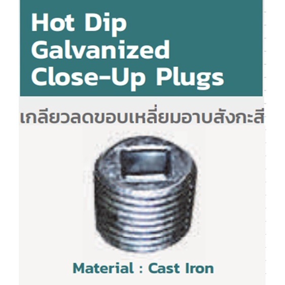 HOT DIP GALVANIZED CLOSE-UP PLUGS เกลียวลดขอบเหลี่ยมอาบสังกะสี (หัวจม ...