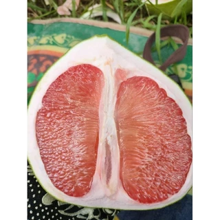 ส้มโอทับทิมสยาม ปากพนังของแท้100%🍊🍐 photo
