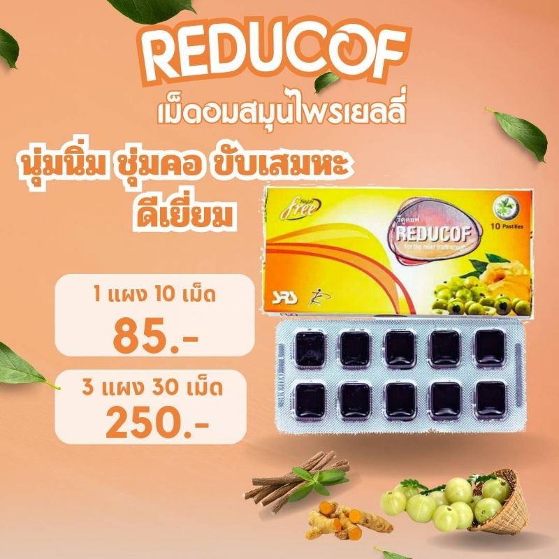 Reducof ยาอมสมุนำพร เยลลี่สมุนไพร เบาเทาอาการไอ นุ่มชุ่มคอ | Shopee ...