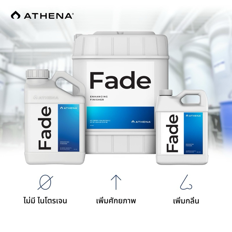 Athena Fade ของแท้ 100% Fade สารเพิ่มประสิทธิภาพการตกแต่งแบบปราศจาก ...